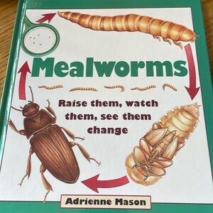 Mealworms Book by Adrienne Mason